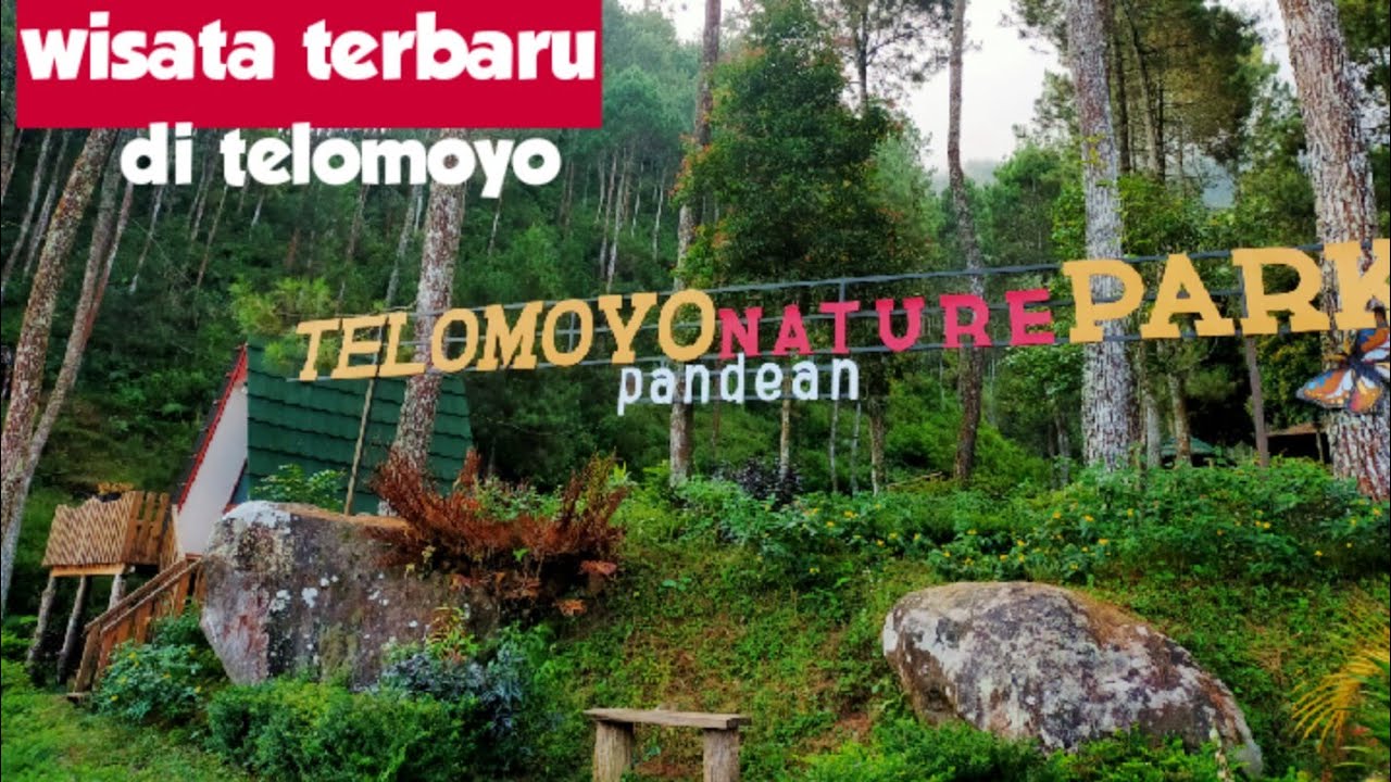 Telomoyo Nature Park: Pesona Alam di Lereng Gunung Merapi